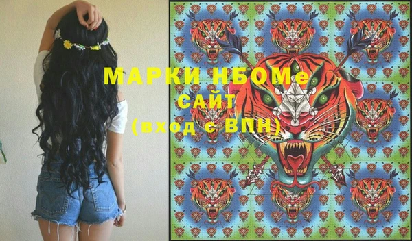 шишки Алзамай