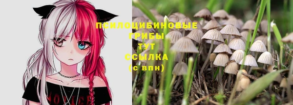 шишки Алзамай