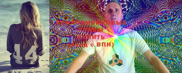шишки Алзамай