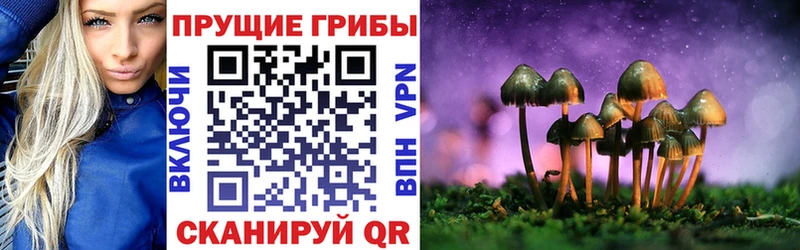 darknet какой сайт где купить Чусовой Галлюциногенные грибы прущие грибы